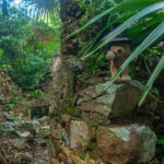 Jossie Gut Historic District!