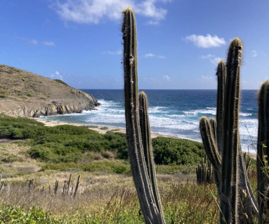 I’m Just As Salty As a Salt River!