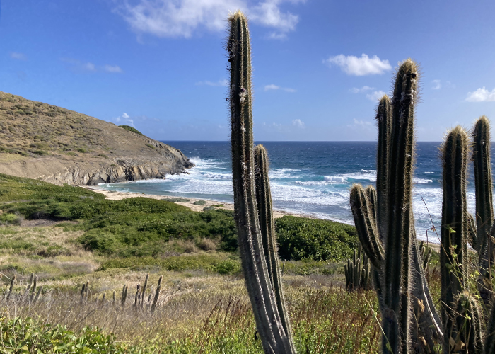 I’m Just As Salty As a Salt River!