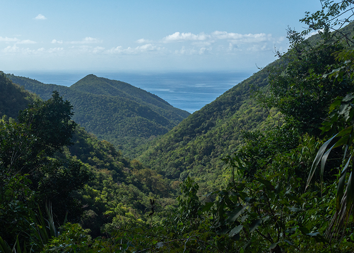 My Virgin Island Valentine!