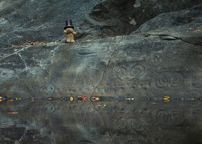 Reef Bay Petroglyph Site!