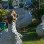 Wake Me Up Before You Dodo!