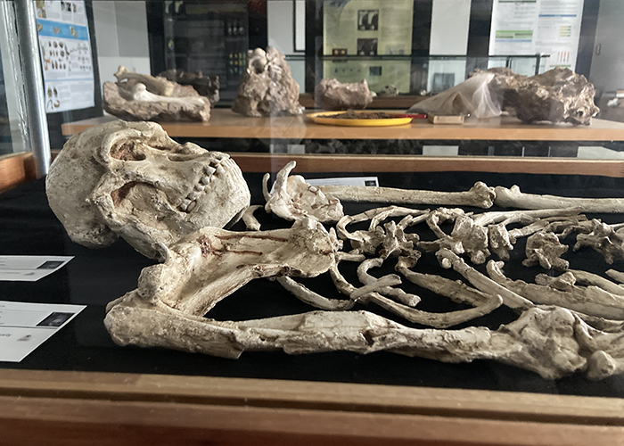 Rock-a-bye Billy in the Cradle of Humankind!