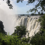 Baboon Bamboozlement at Victoria Falls!