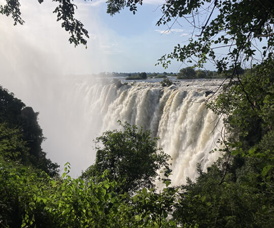 Baboon Bamboozlement at Victoria Falls!
