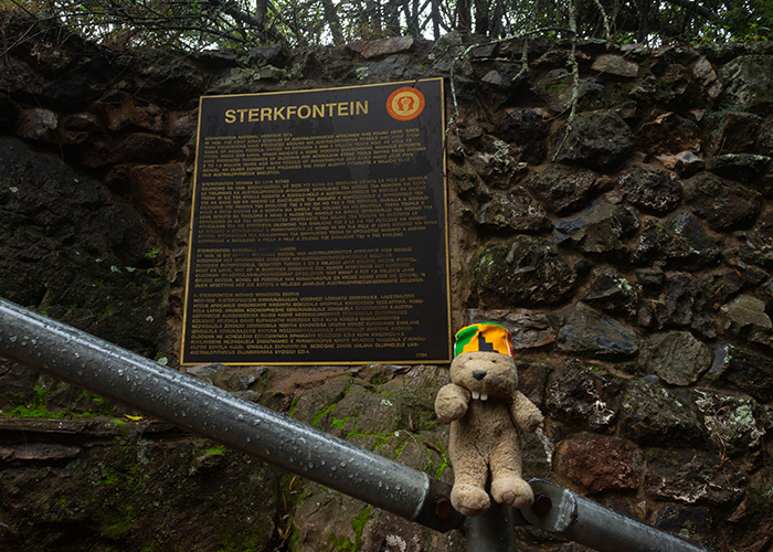 Sterkfontein Caves!