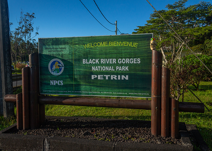 Black River Gorges National Park!