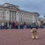 Buckingham Palace!