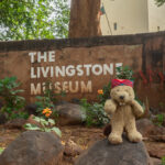 The Livingstone Museum!