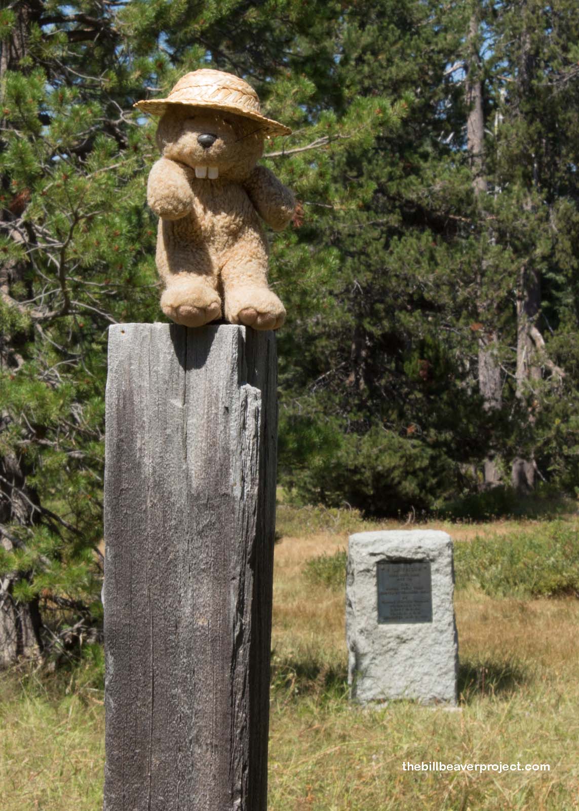 Pioneer Grave (Grizzly Creek)
