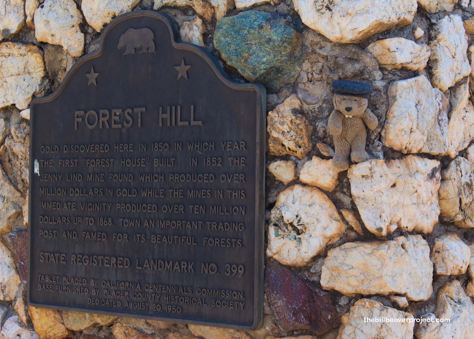 Town of Forest Hill