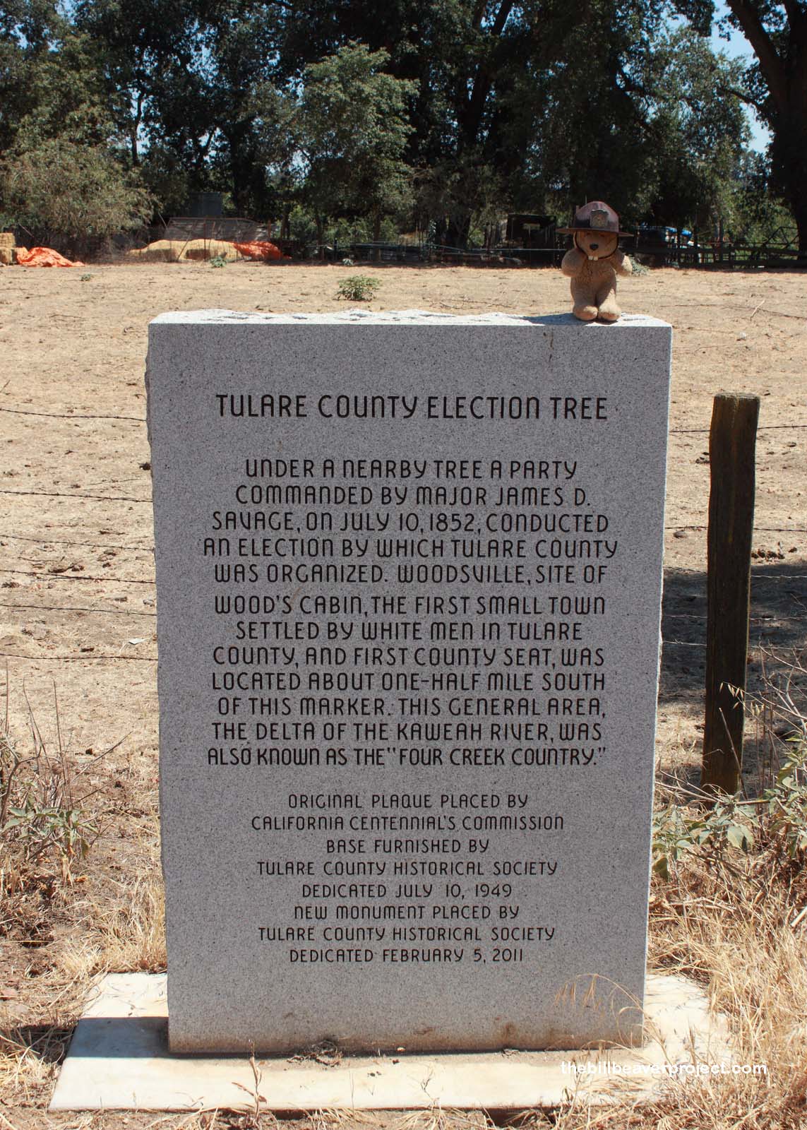 Charter Oak or Election Tree