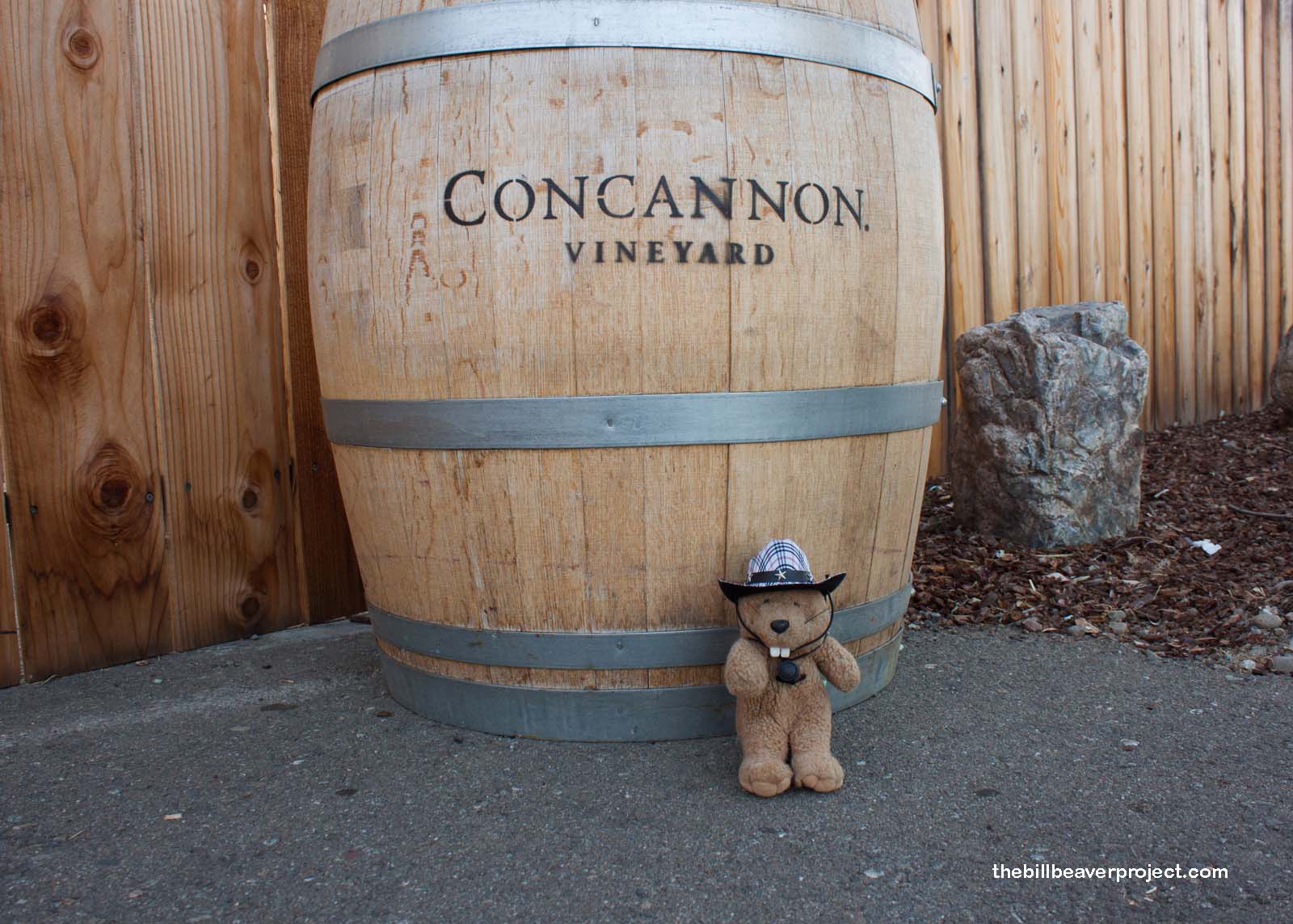 Concannon Vineyard