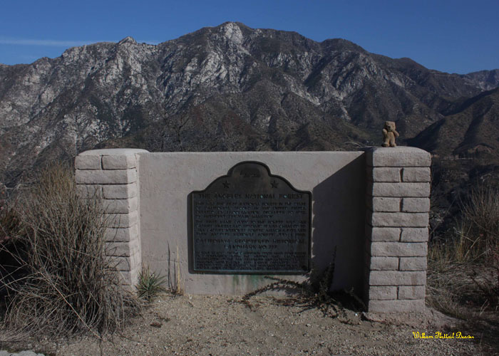 The Angeles National Forest
