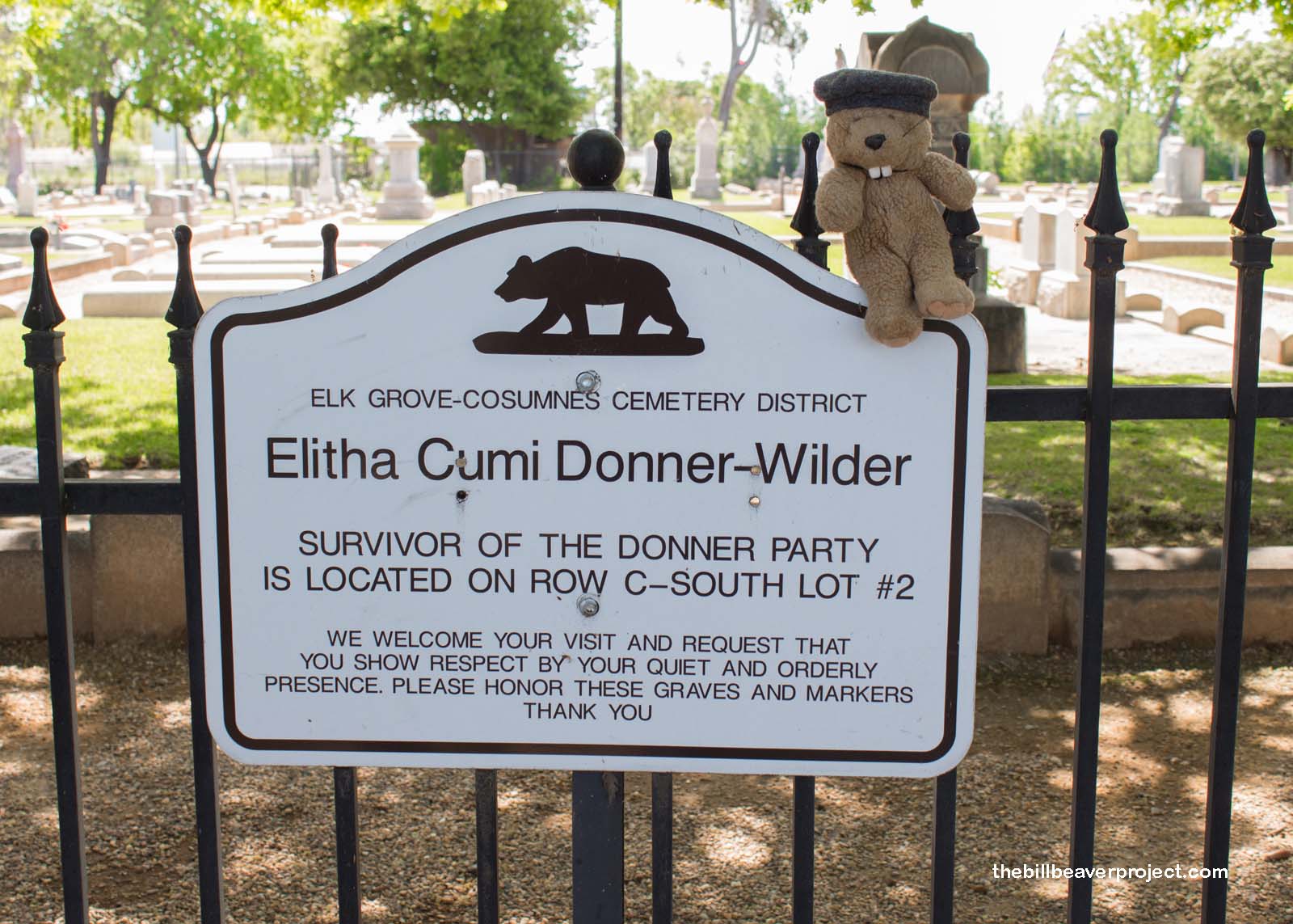 Grave of Elitha Cumi Donner Wilder