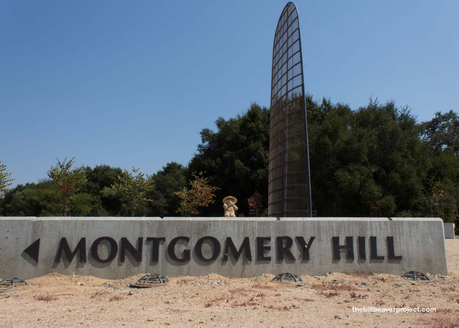 Montgomery Hill