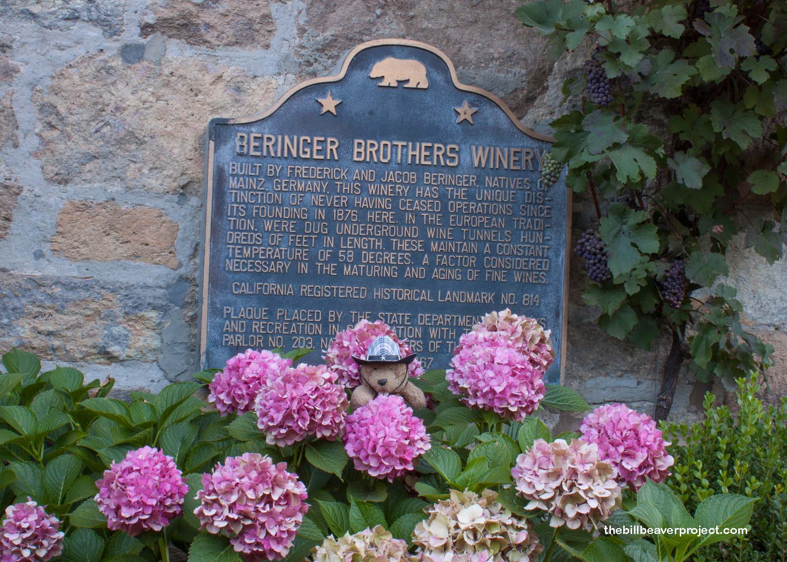 Beringer Brothers Winery