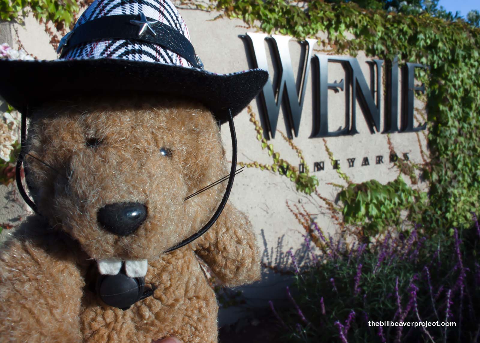 Wente Bros. Winery