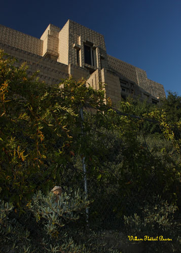 Frank Lloyd Wright Textile Block Houses (Thematic), Ennis House
