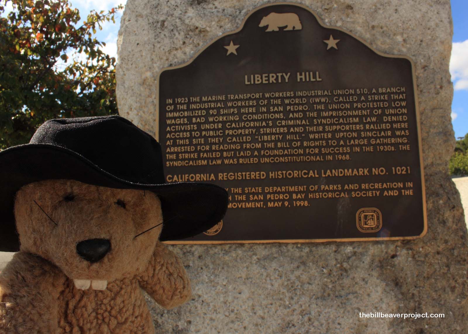 Liberty Hill Site