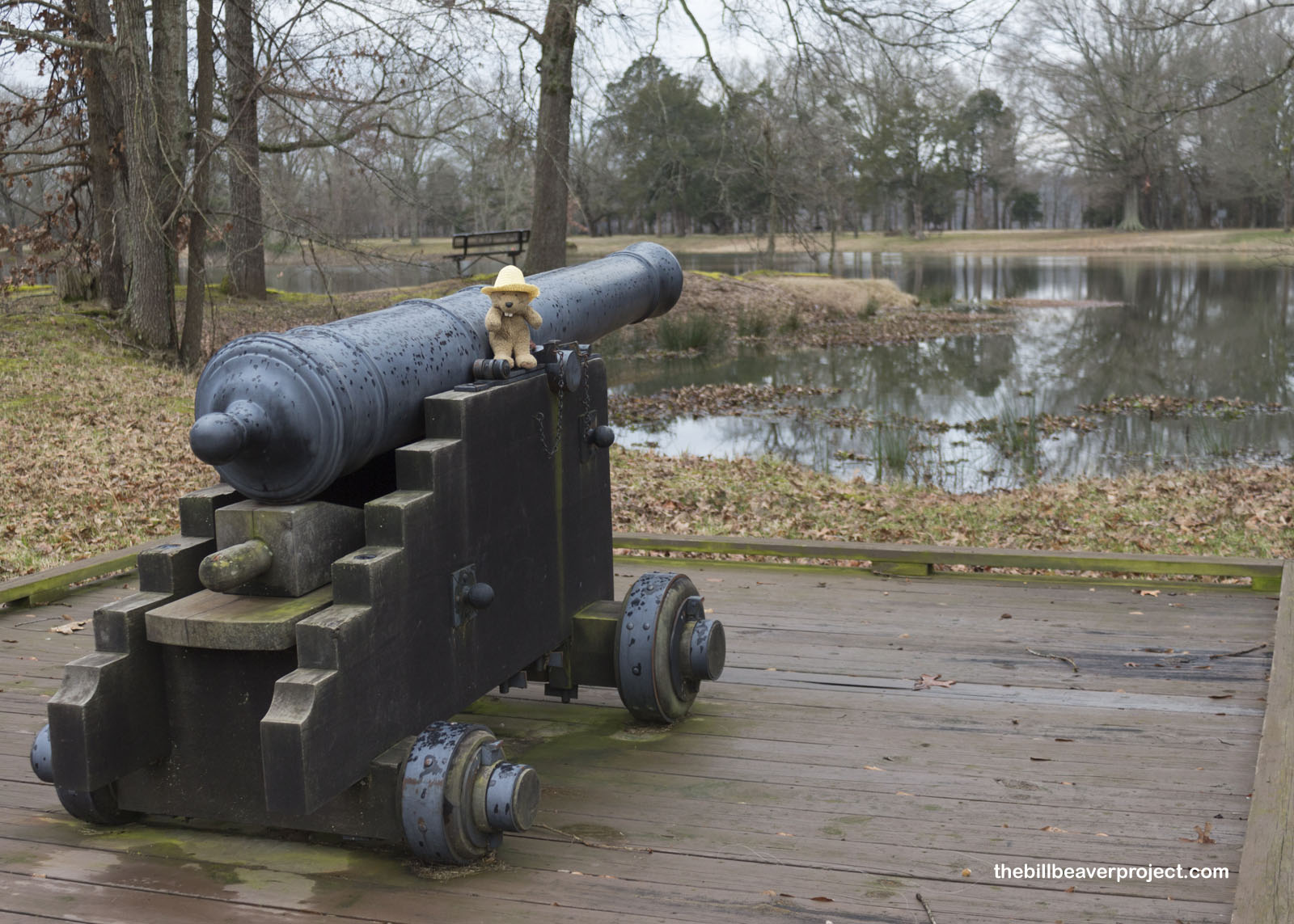 A cannon preserved on the shore of Park Lake!