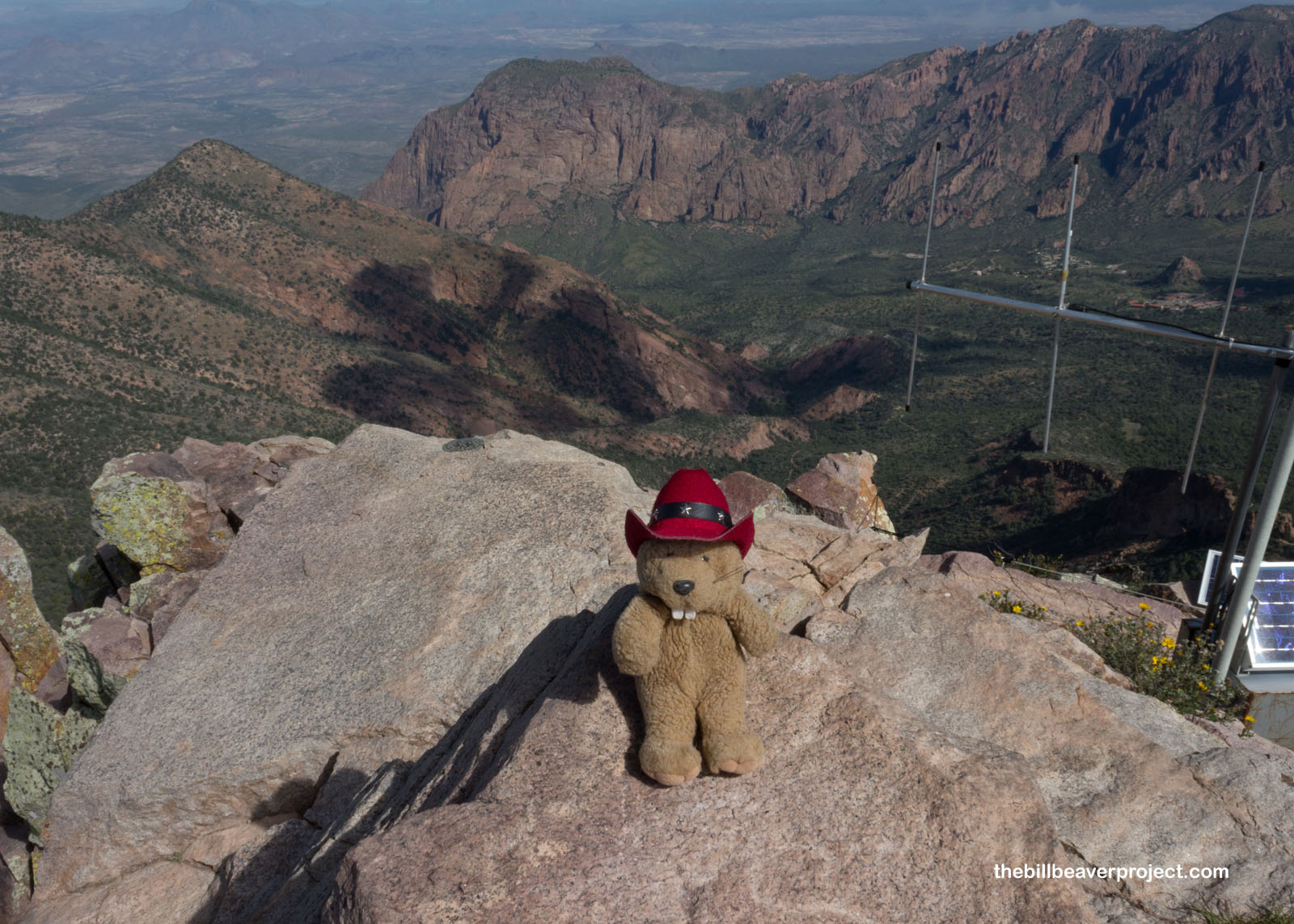 A view from the summit of Emory Peak!