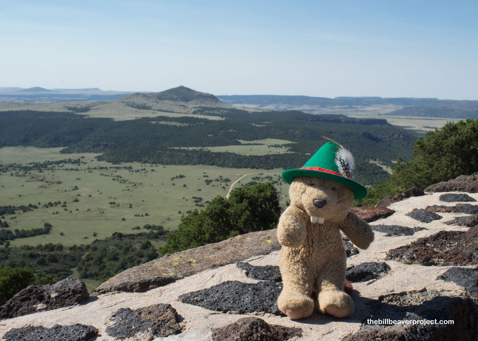 A view from the top of Capulin Volcano!