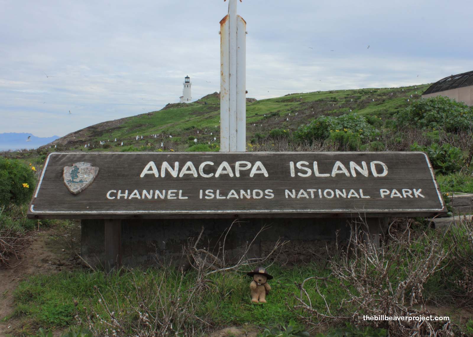 Channel Islands National Park: Anacapa