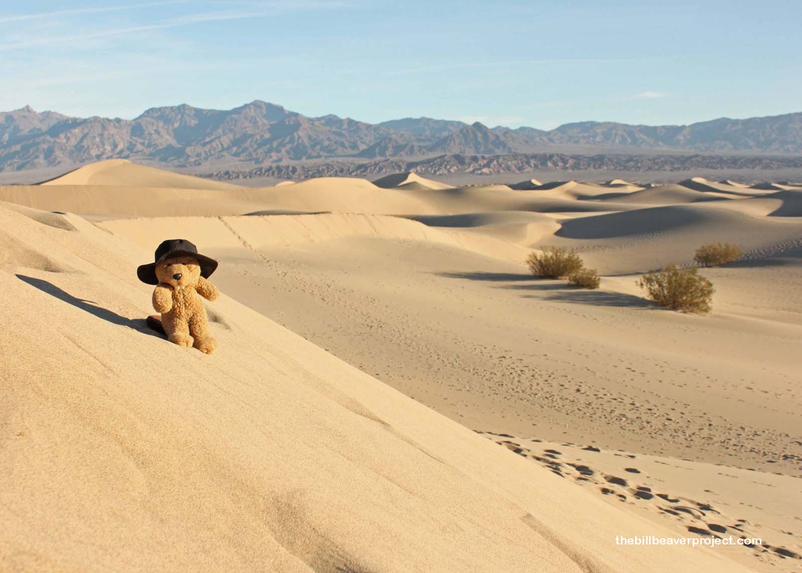 Lots of fun frolicking on the Mesquite Sand Dunes!