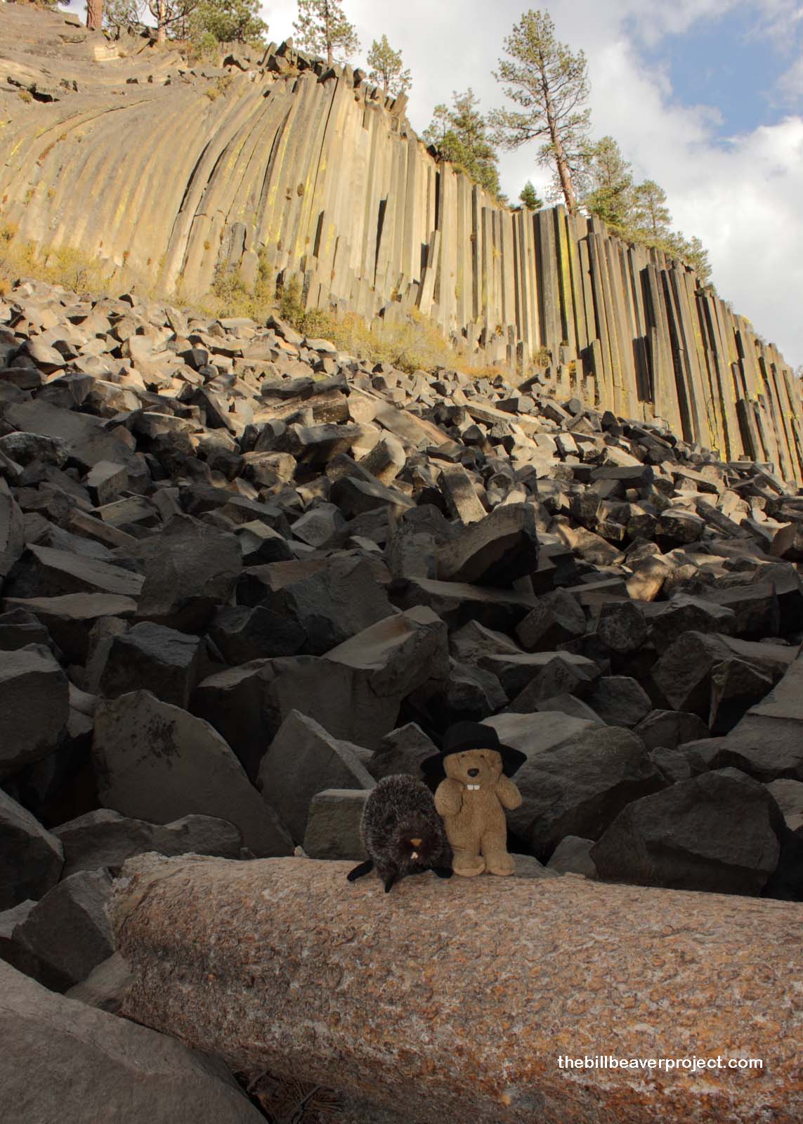 Evening light upon the postpile!