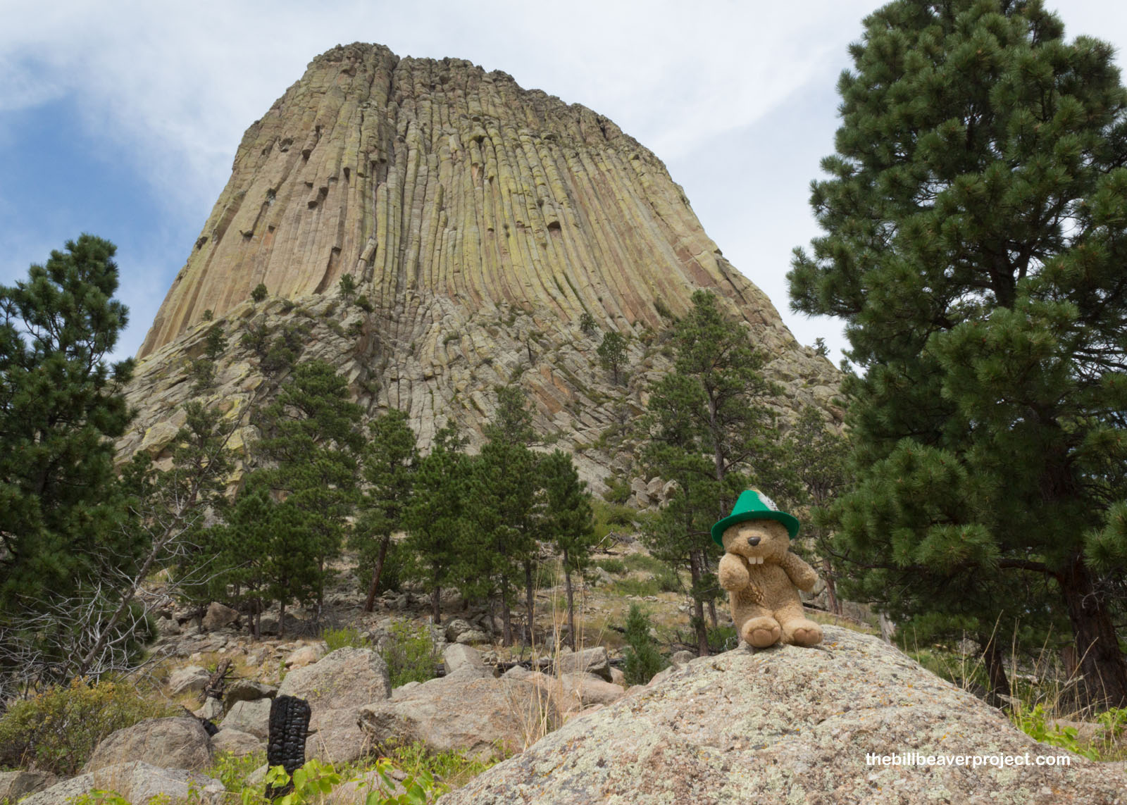 The south face of Devils Tower!