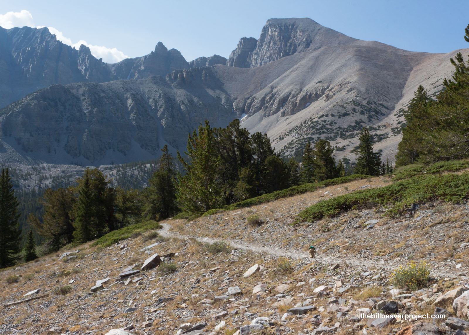 The trail to Wheeler Peak!