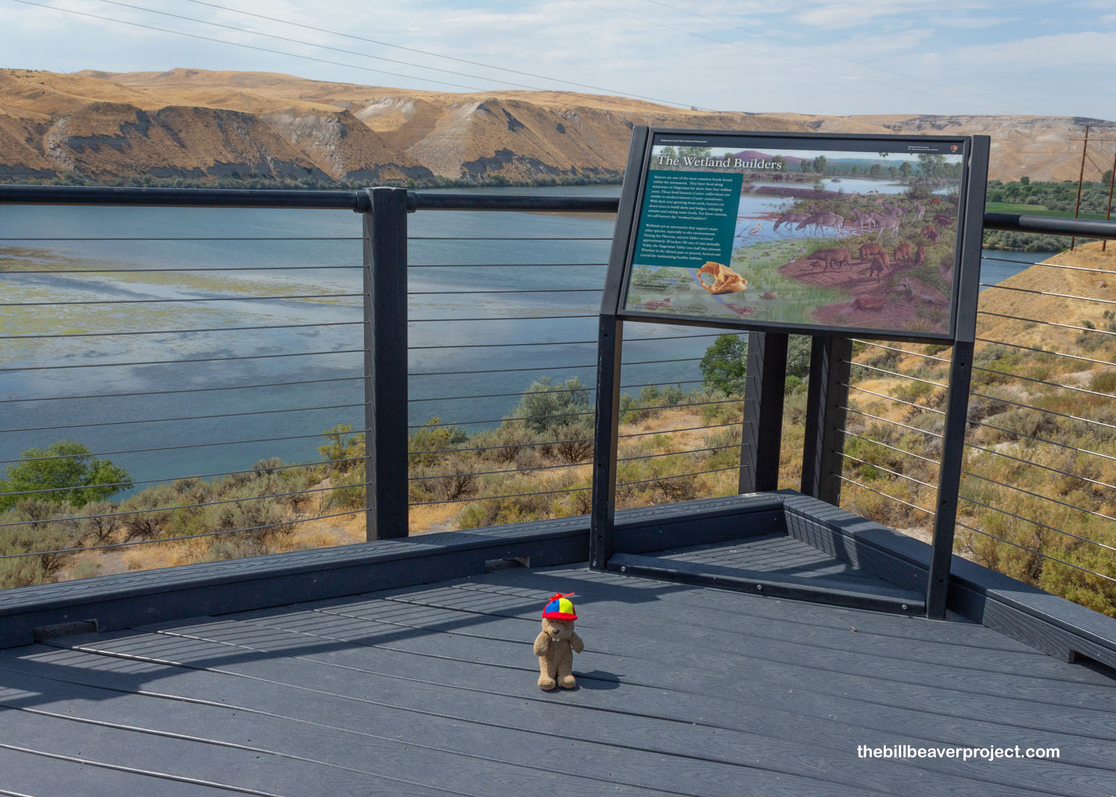 The Snake River overlook!