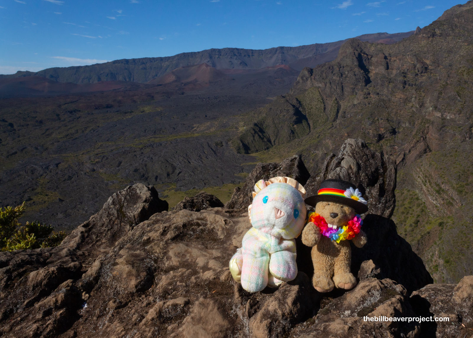 A rainbow lion overlooking the crater!