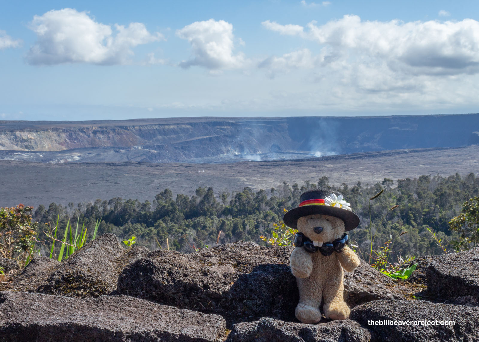 Overlooking the greater Kīlauea!