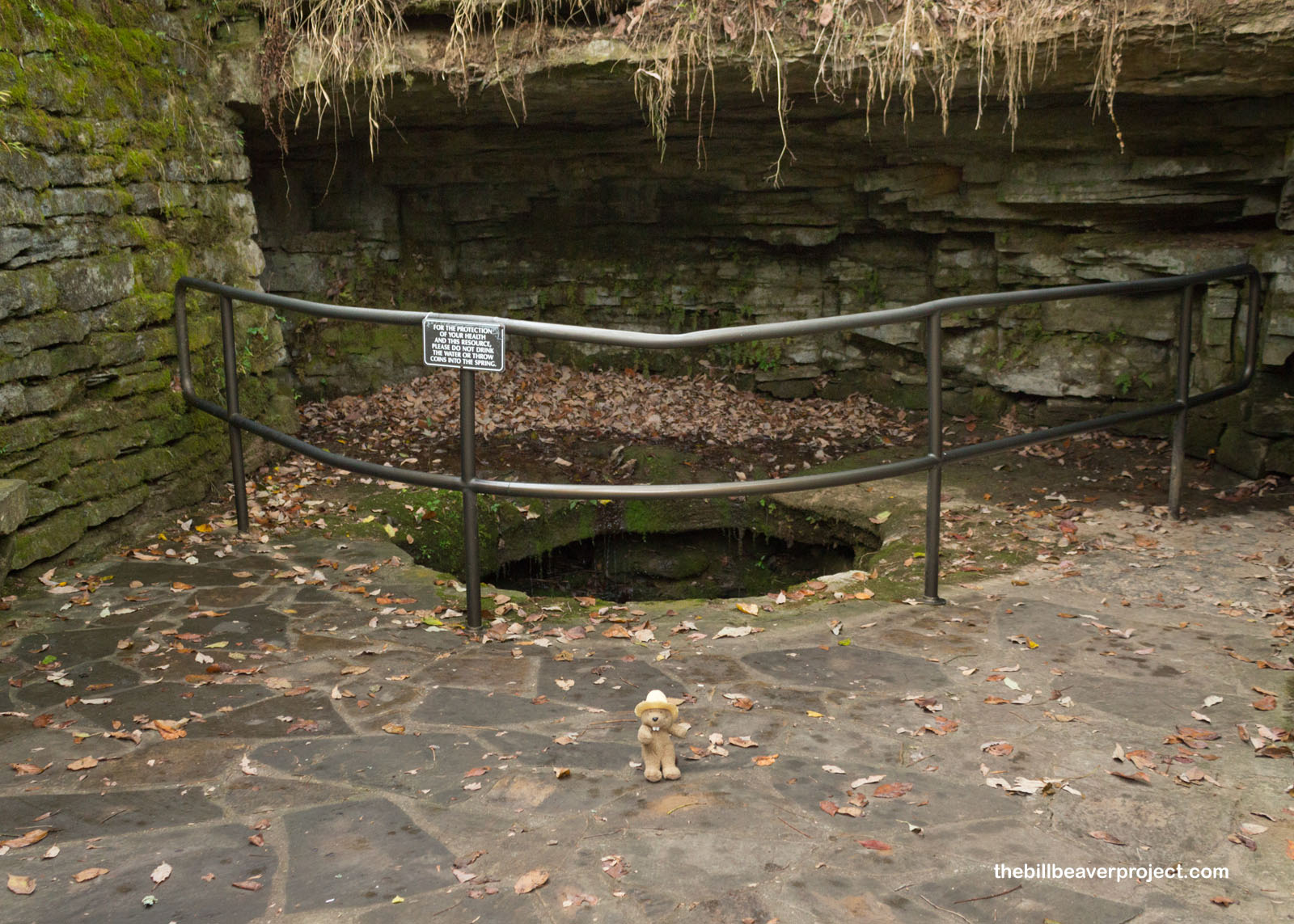 The spring that gave its name to Sinking Spring Farm!
