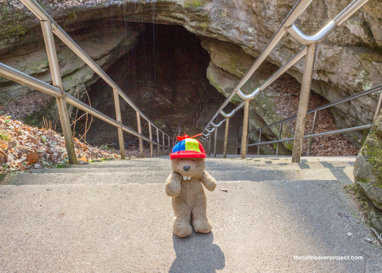 Mammoth Cave's historic entrance!