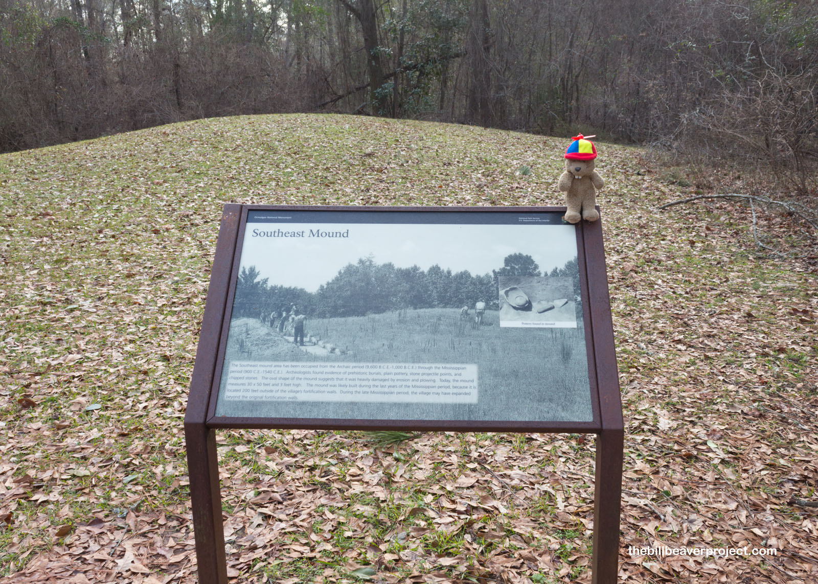 The mysterious Southeast Mound!