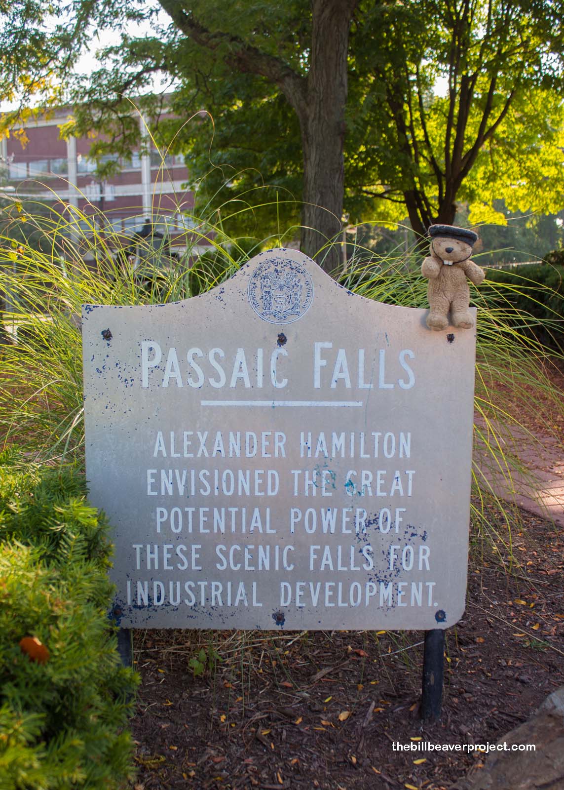 Originally called the Passaic Falls!