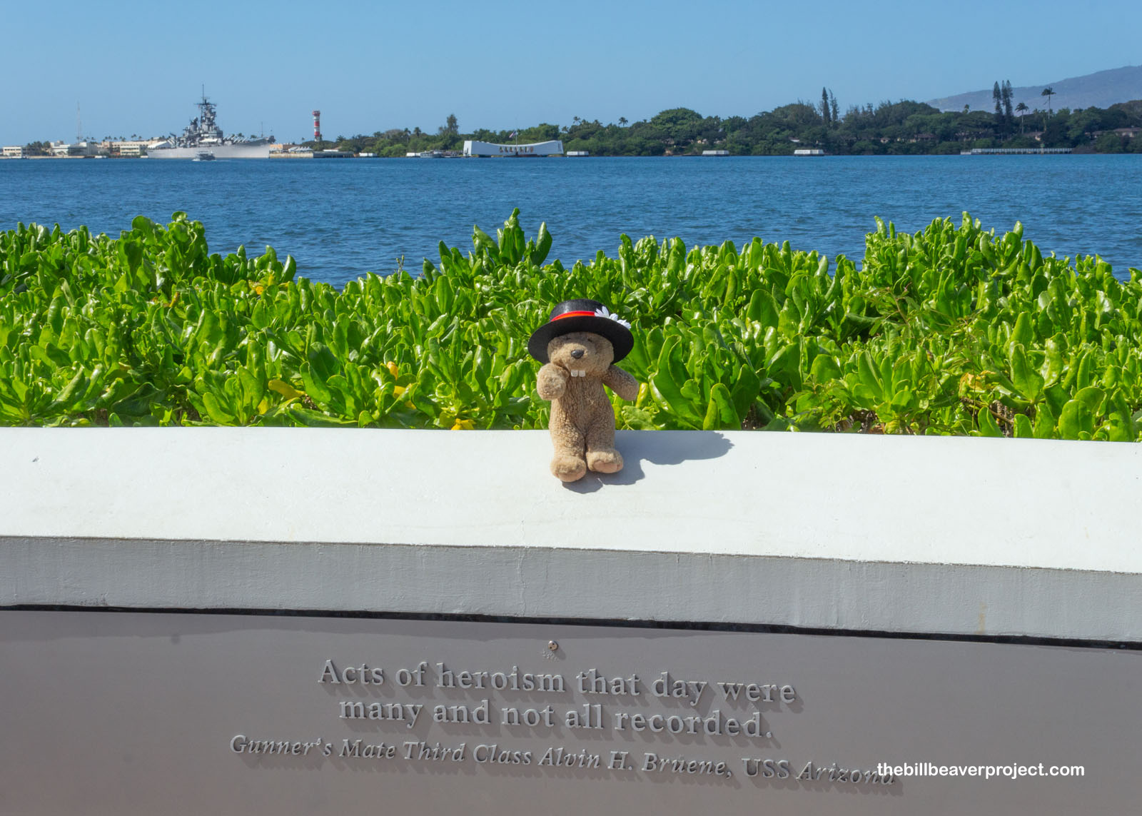 The Arizona memorial in the background!