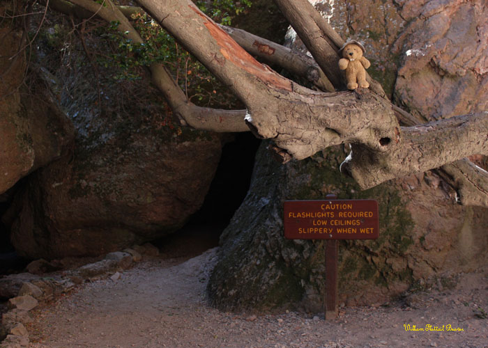 What's in this mysterious cave?