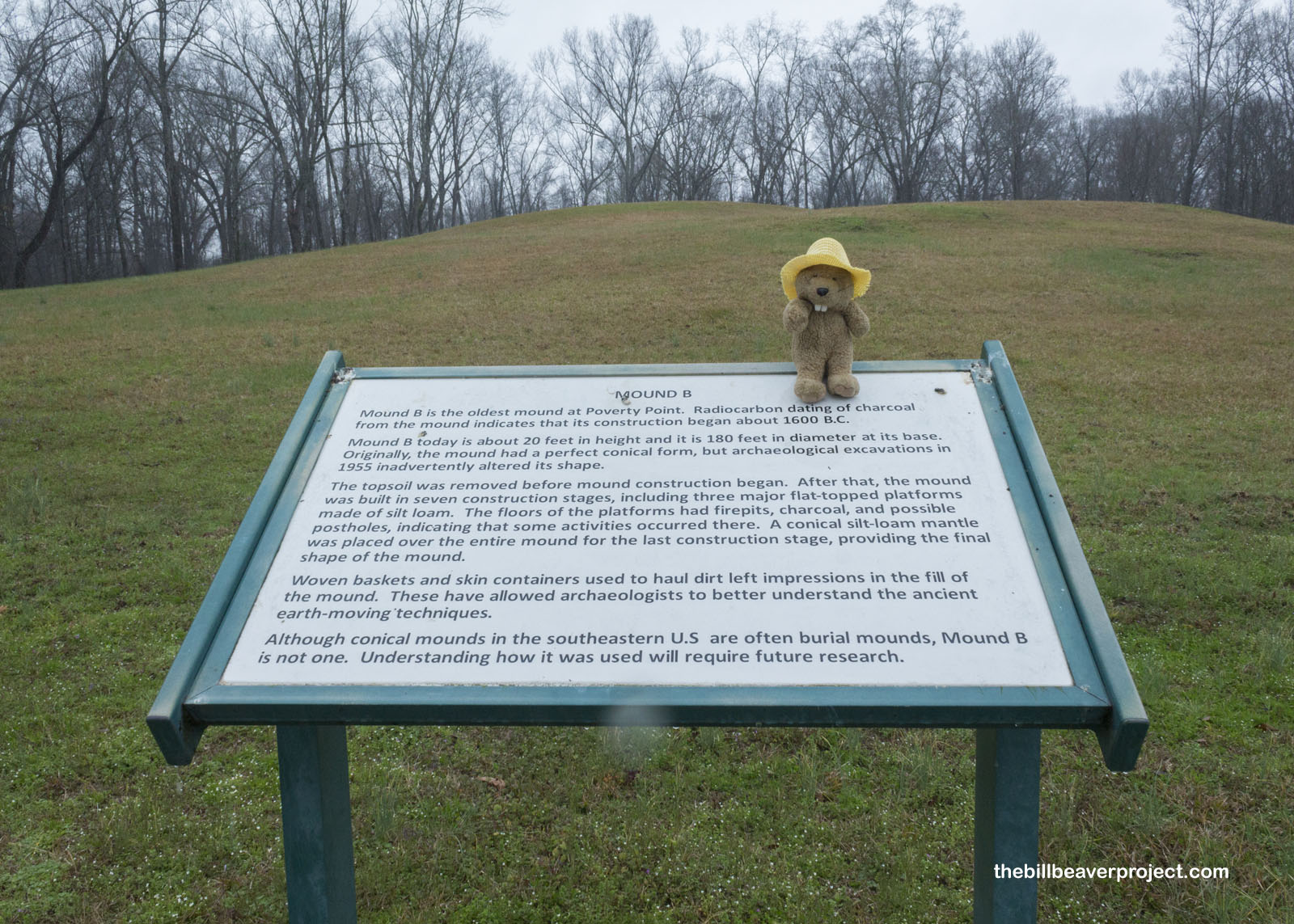 Mound B is the oldest mound at Poverty Point!