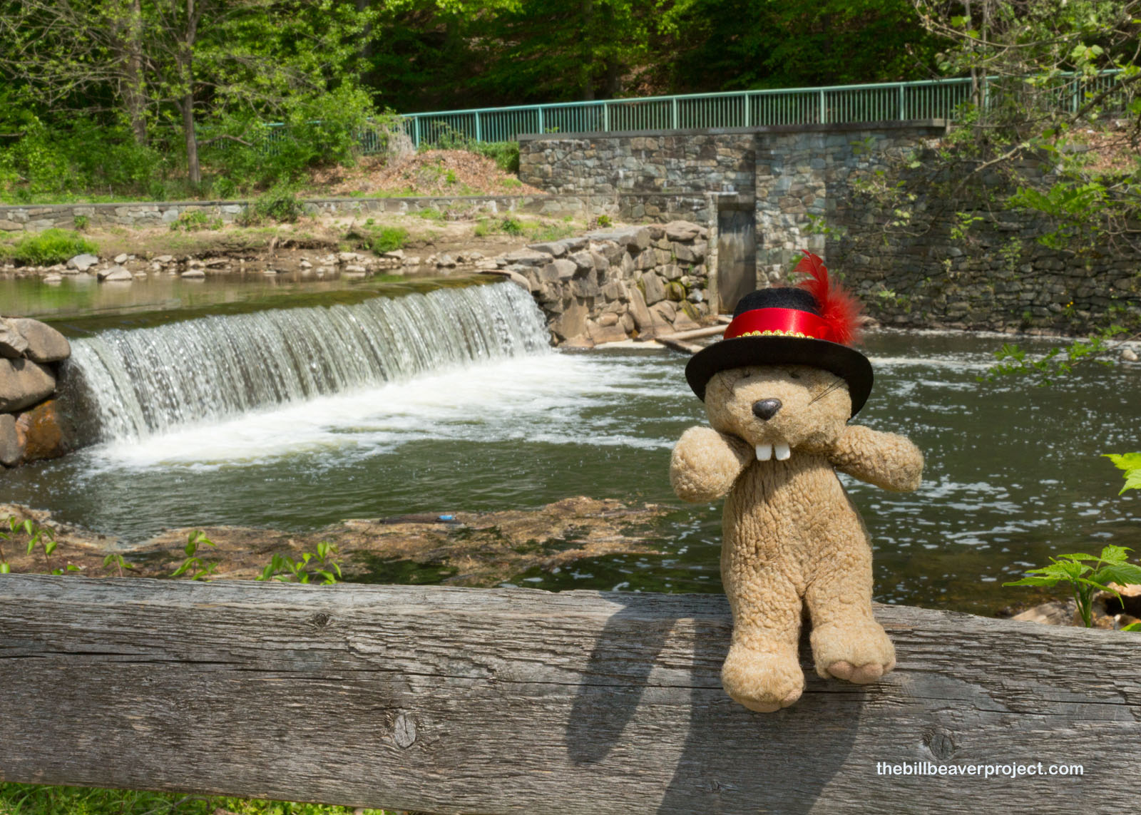 A very fine dam at Peirce Mill!