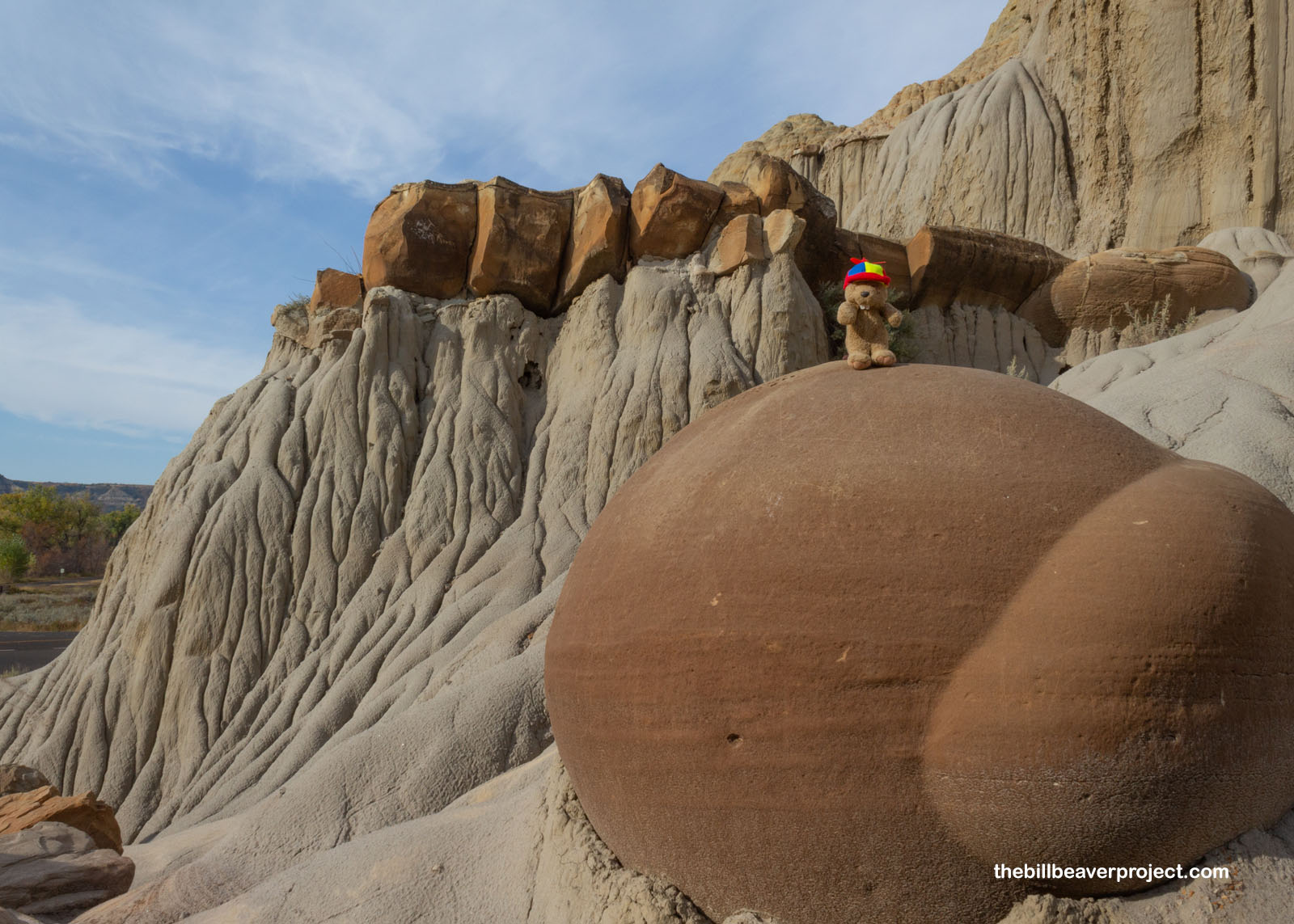 The famous cannonball concretions!