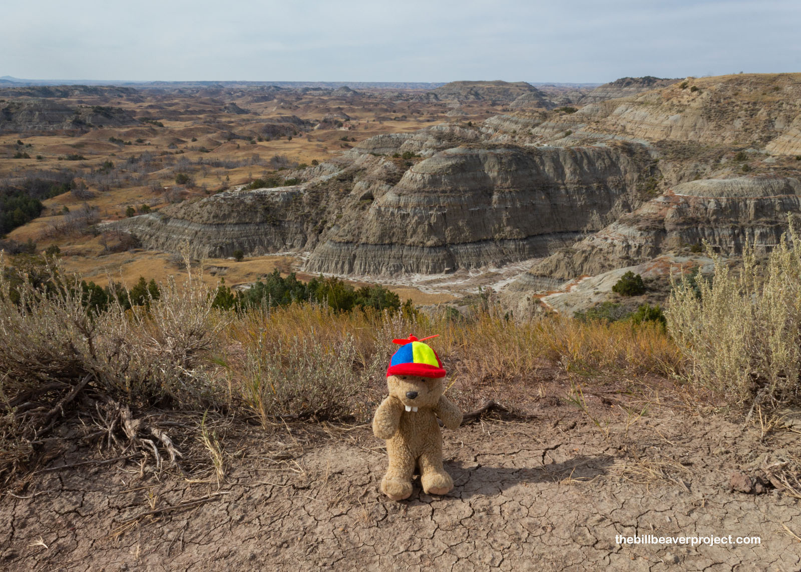 The badlands from the Boicourt Overlook!