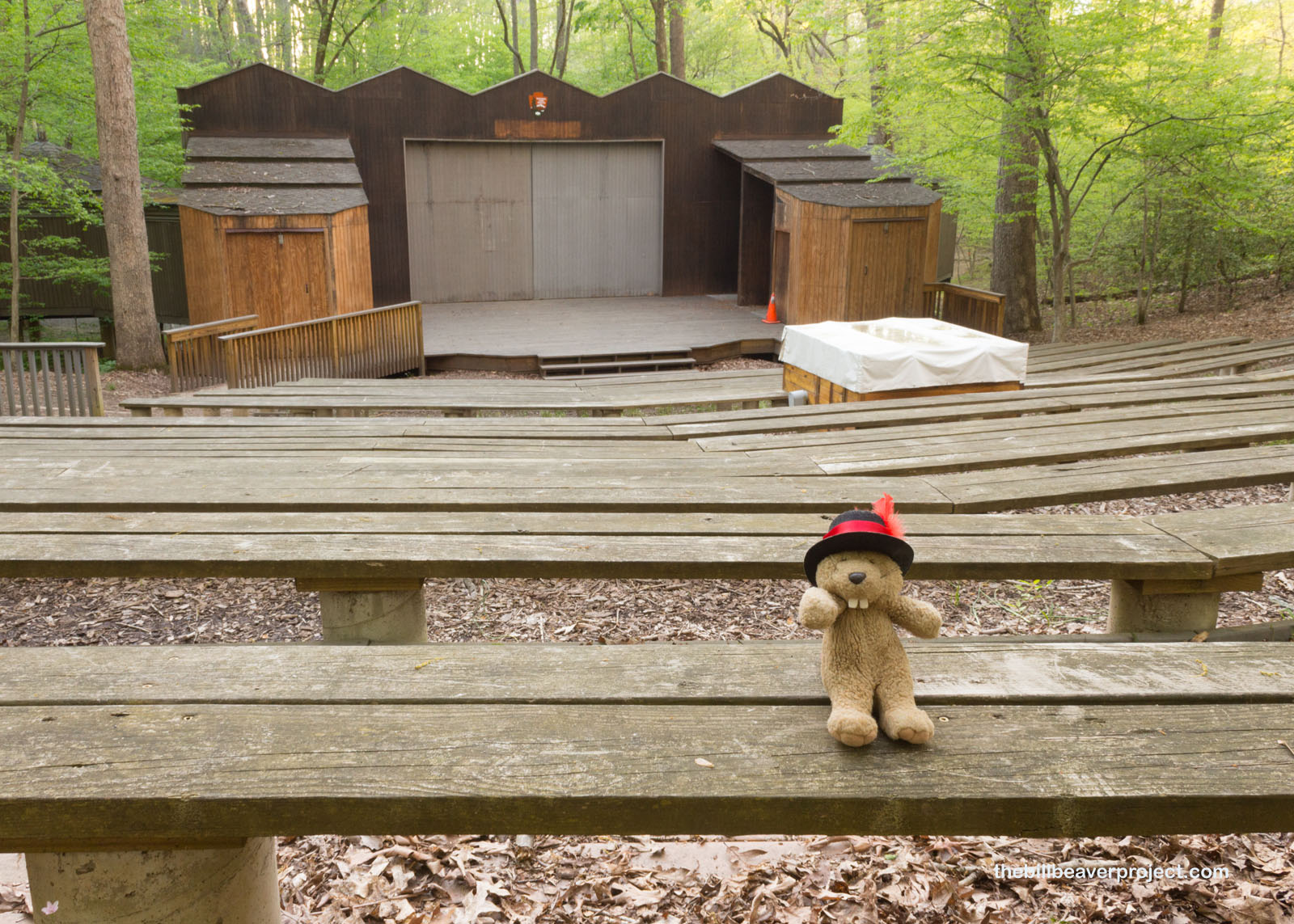 The Children's Theatre-in-the-Woods!
