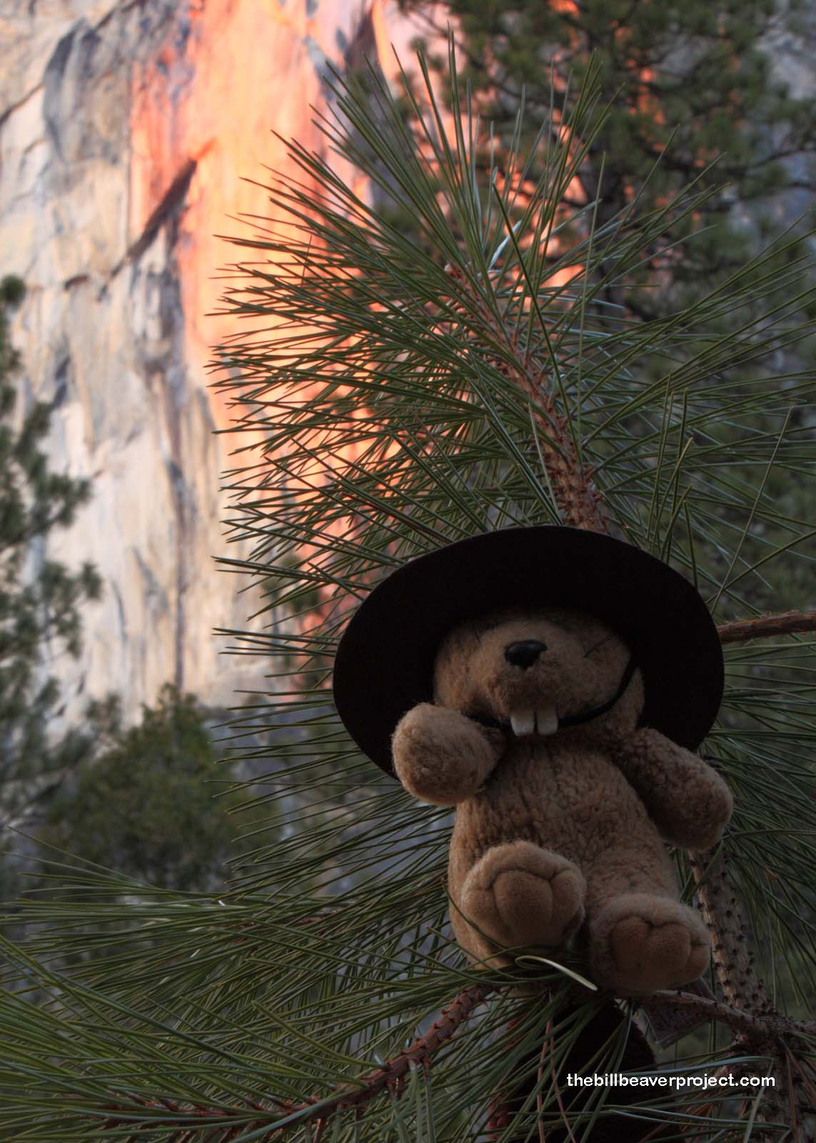 Yosemite's Firefall event happens every February, if you're lucky!