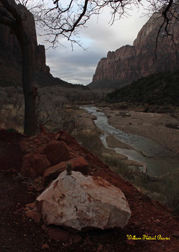 The stormy Virgin River!