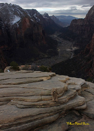 View from Angel's Landing!