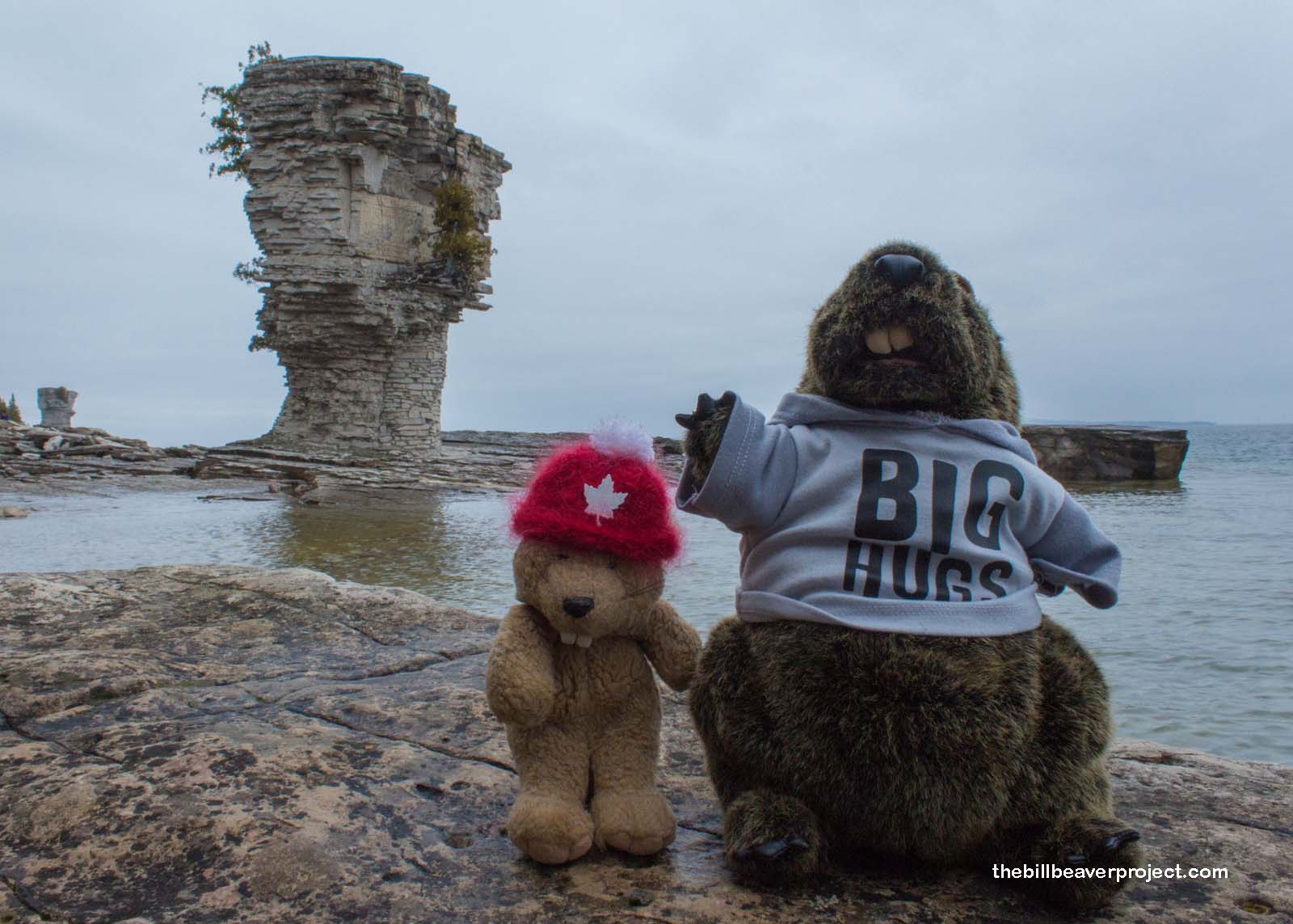 My friend, Scooter, and I visiting Flowerpot Island!